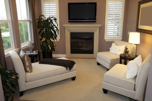 Living room with a fireplace and stylish decor.